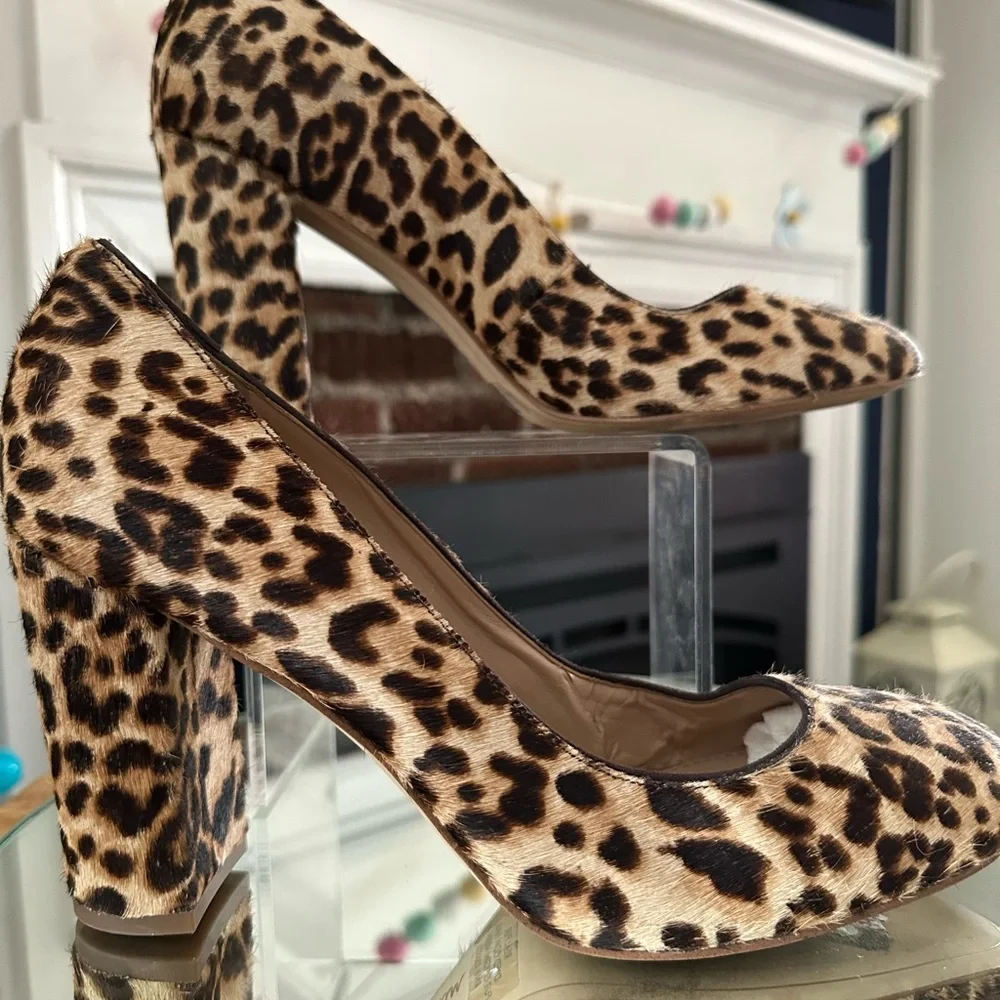 Sam Edelman eye catching